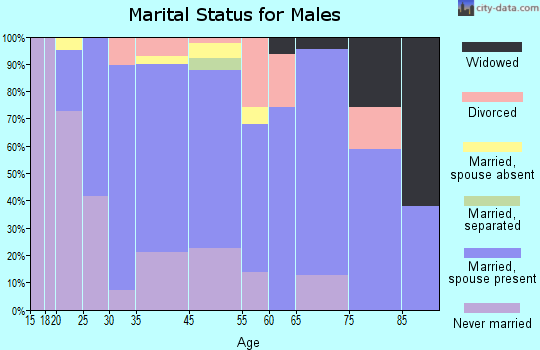 Zip code 00652 marital status for males