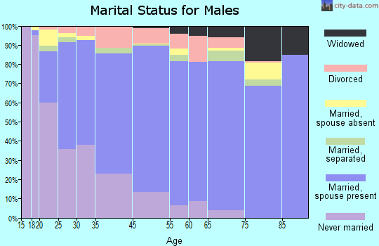Zip code 00677 marital status for males