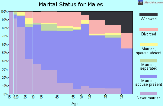 Zip code 00682 marital status for males