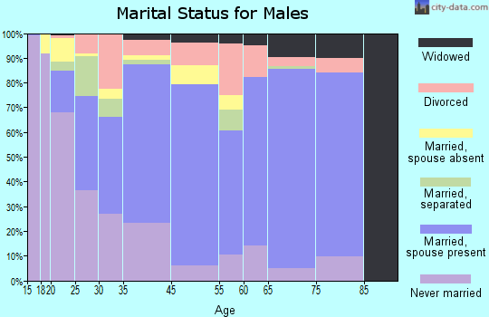 Zip code 00688 marital status for males
