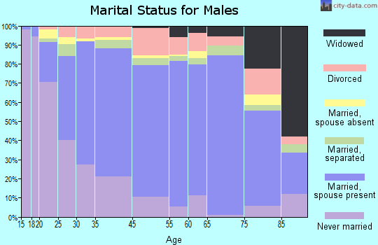 Zip code 00714 marital status for males