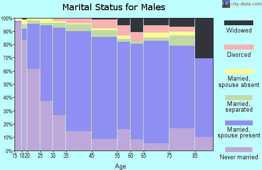 Zip code 00720 marital status for males