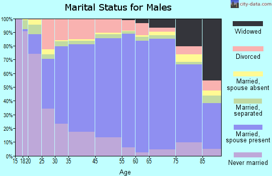 Zip code 00728 marital status for males