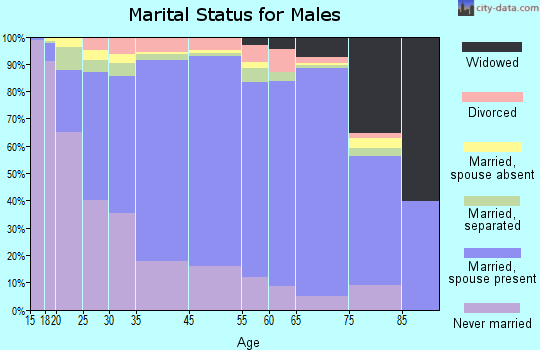 Zip code 00731 marital status for males