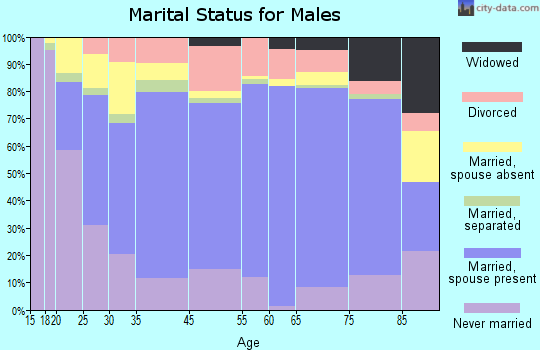 Zip code 00735 marital status for males