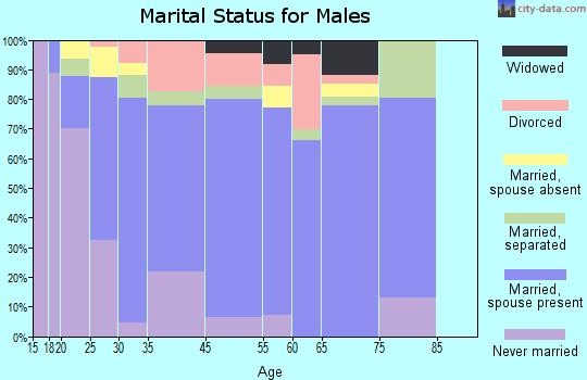 Zip code 00741 marital status for males