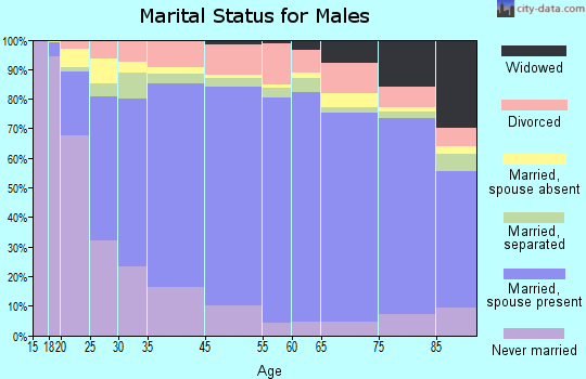 Zip code 00745 marital status for males