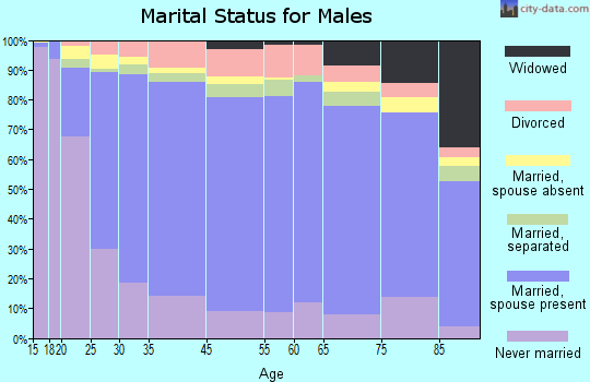 Zip code 00771 marital status for males