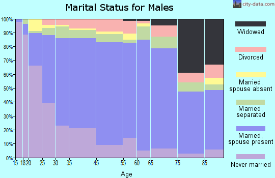 Zip code 00782 marital status for males