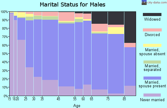 Zip code 00783 marital status for males