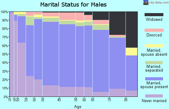 Zip code 00794 marital status for males