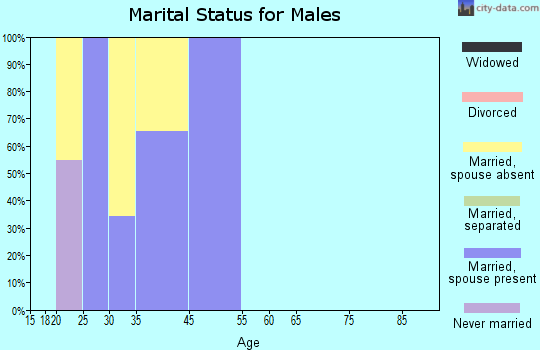 Zip code 00934 marital status for males