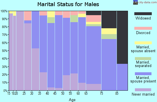 Zip code 01007 marital status for males