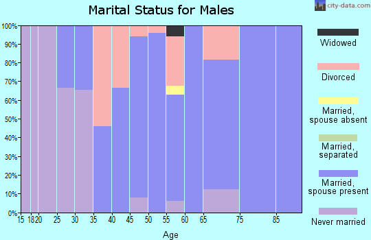 Zip code 01008 marital status for males