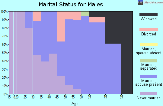 Zip code 01010 marital status for males