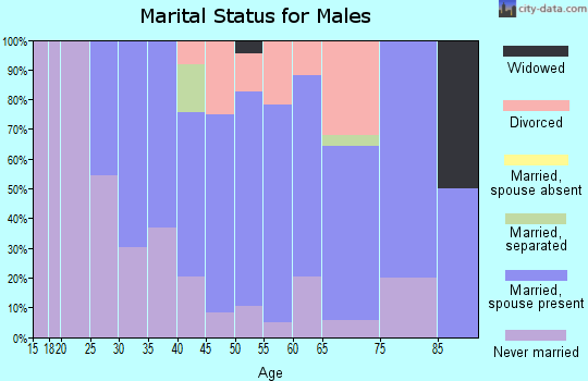 Zip code 01011 marital status for males