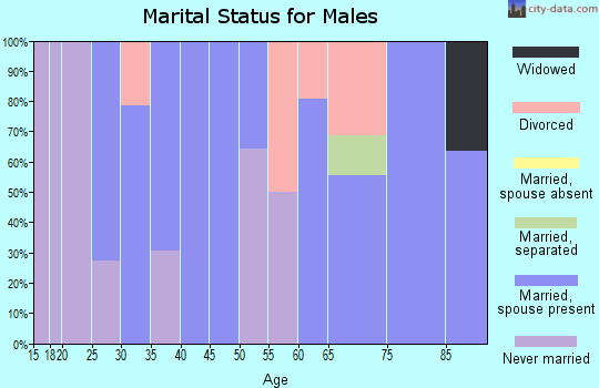 Zip code 01022 marital status for males