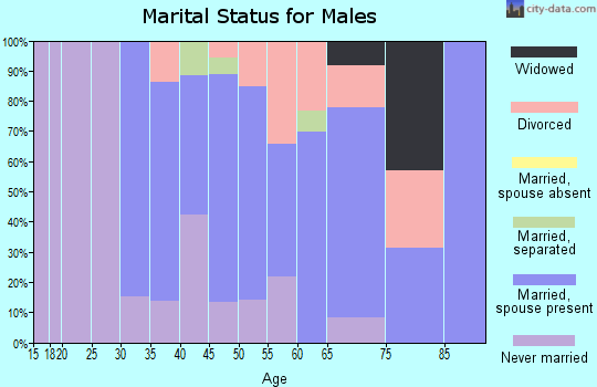 Zip code 01026 marital status for males