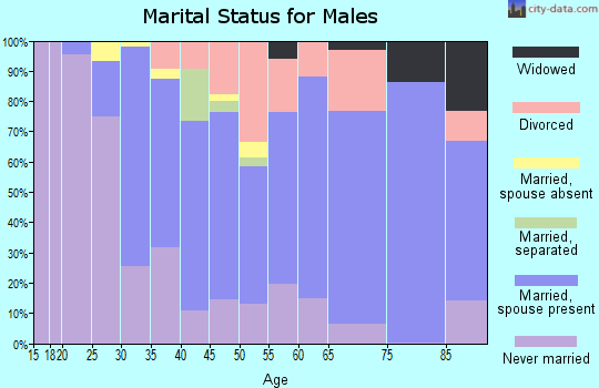 Zip code 01027 marital status for males