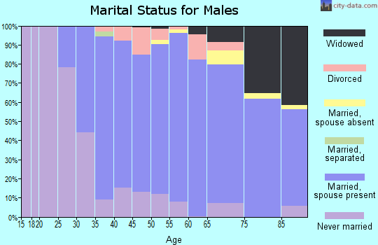 Zip code 01028 marital status for males