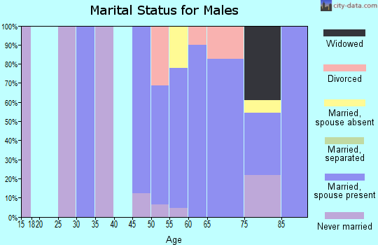 Zip code 01029 marital status for males