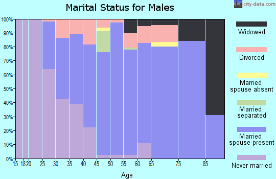 Zip code 01030 marital status for males