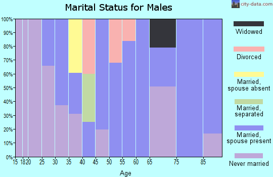 Zip code 01031 marital status for males