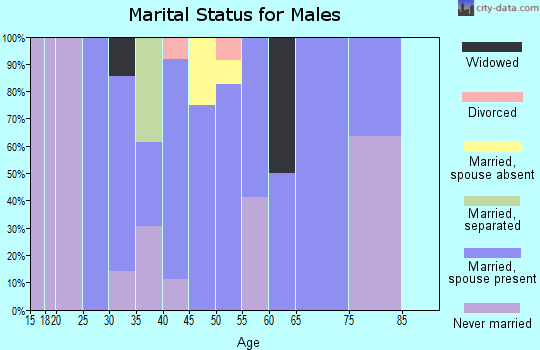 Zip code 01032 marital status for males