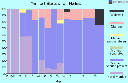 Zip code 01033 marital status for males