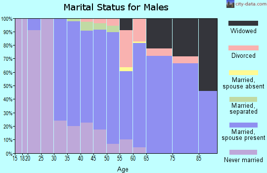 Zip code 01034 marital status for males