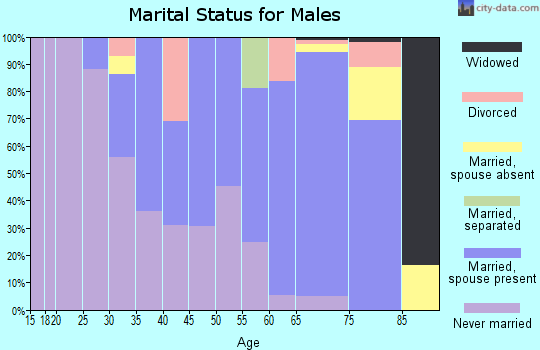 Zip code 01035 marital status for males
