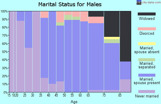 Zip code 01036 marital status for males