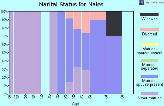 Zip code 01037 marital status for males