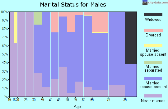 Zip code 01038 marital status for males
