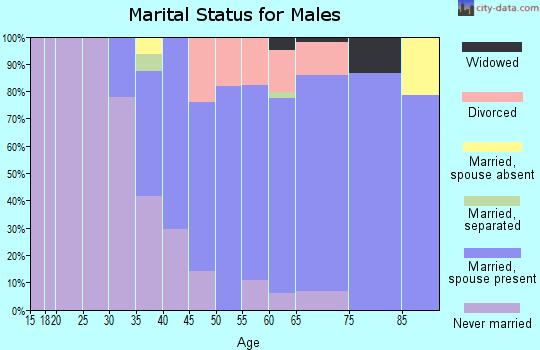 Zip code 01054 marital status for males