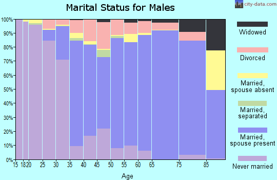 Zip code 01056 marital status for males