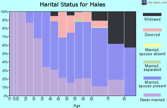 Zip code 01057 marital status for males