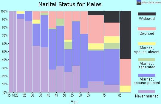Zip code 01060 marital status for males