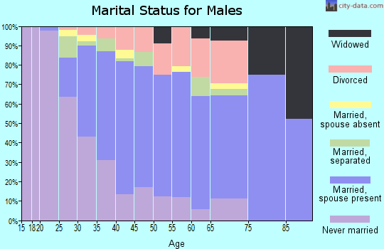Zip code 01062 marital status for males