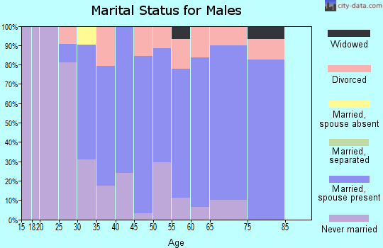 Zip code 01071 marital status for males