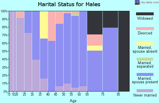 Zip code 01073 marital status for males