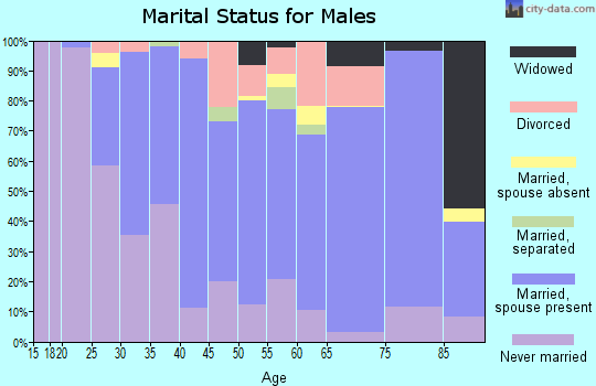 Zip code 01075 marital status for males