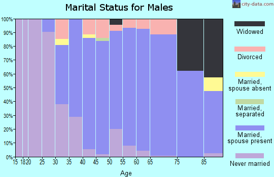 Zip code 01077 marital status for males