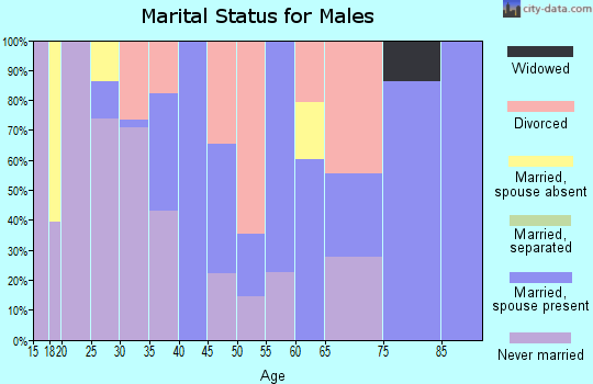 Zip code 01080 marital status for males