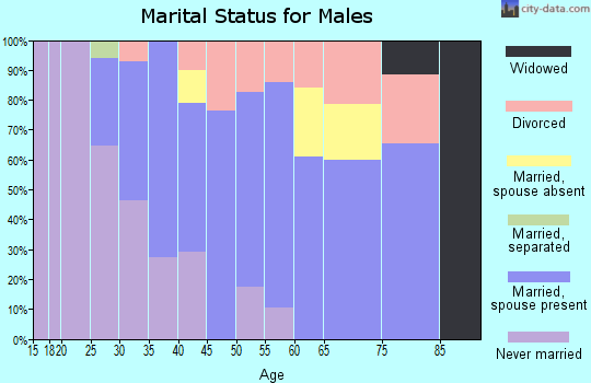 Zip code 01081 marital status for males