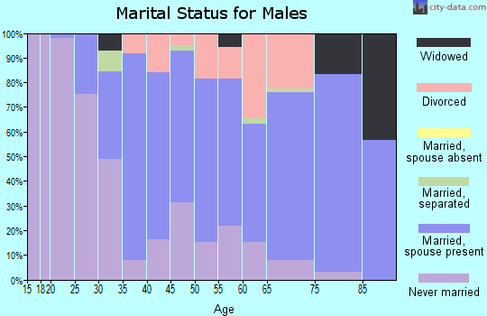 Zip code 01082 marital status for males