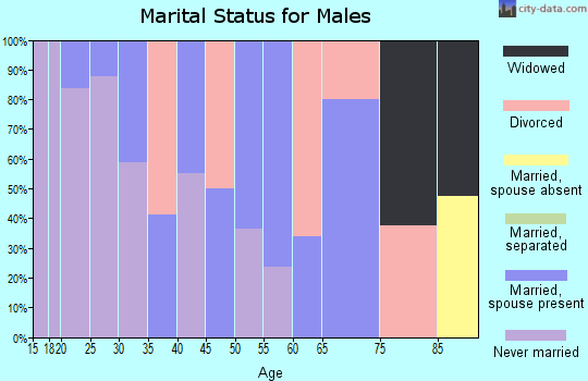 Zip code 01083 marital status for males