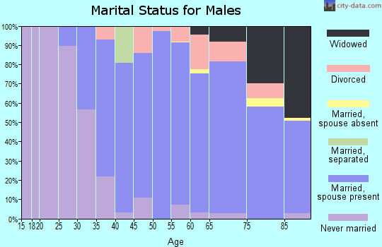 Zip code 01095 marital status for males
