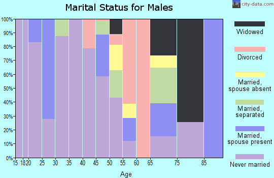 Zip code 01103 marital status for males