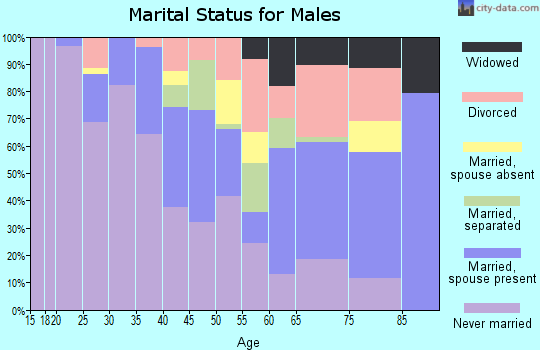 Zip code 01107 marital status for males
